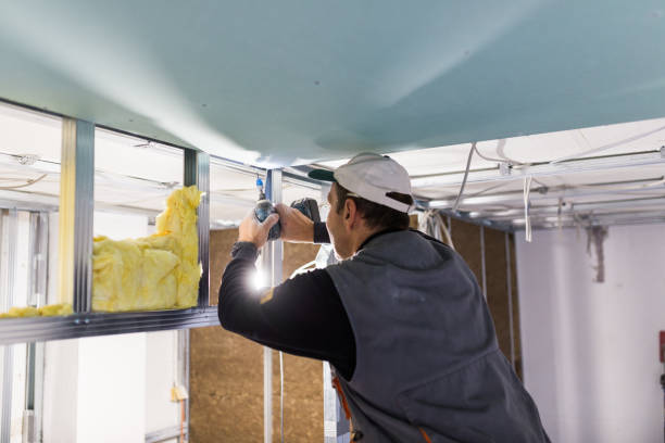 Insulation Replacement Services in Beech Mountain Lakes, PA