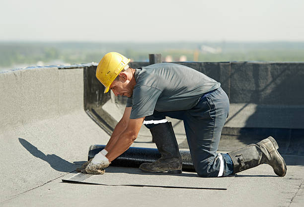 Best Insulation Removal  in Beech Mountain Lakes, PA